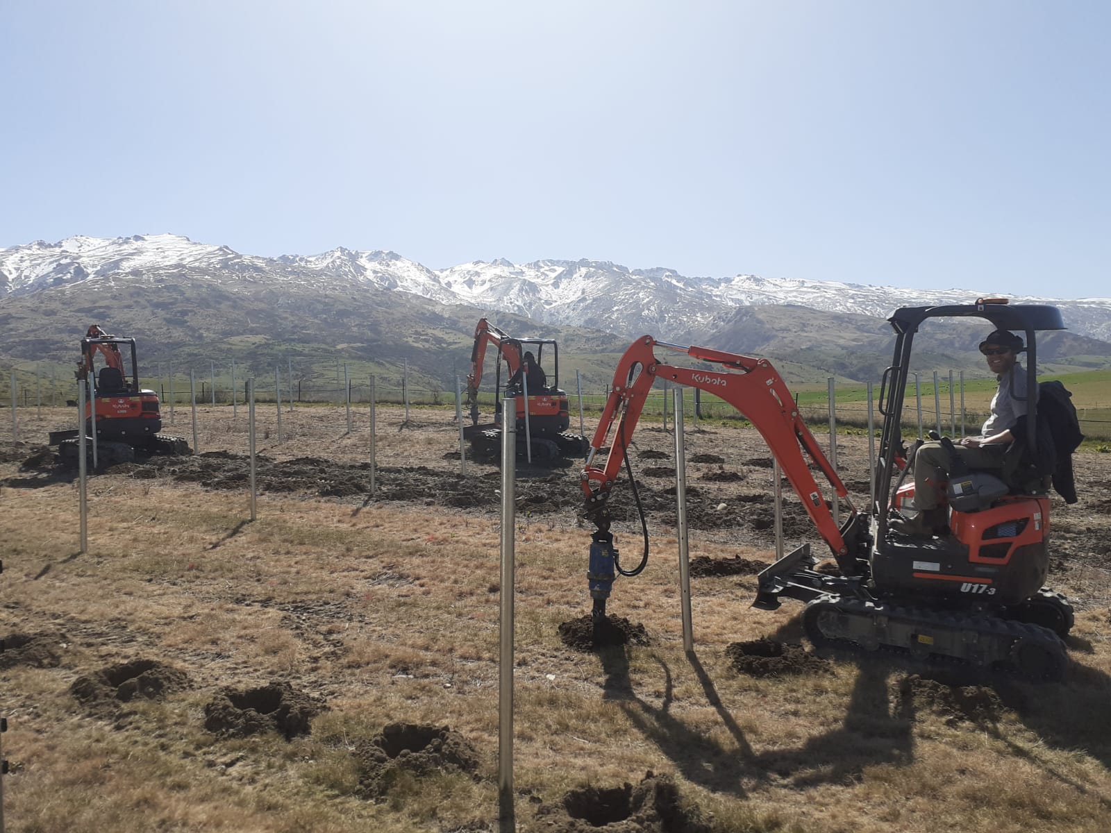 Three Hire South Kubota mini diggers spread across a large open paddock driving posts, operator on the U17-3 in the foreground, Southern Alps panorama in the background
